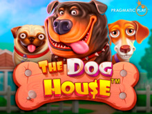 Igrajte slot The Dog House u kazinu Vavada